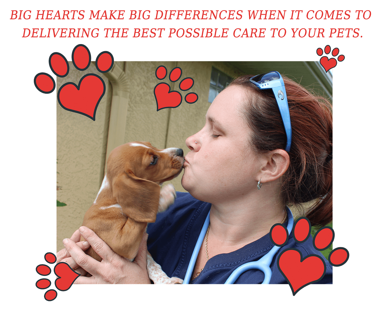 Florida Animal Care in Punta Gorda - Caption - Big hearts make big differences when it comes to delivering the best possible care to your pets