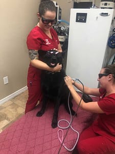 Laser Therapy