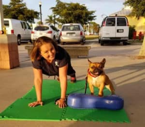 Dog and tech doing pushups